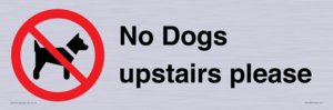 No Dogs upstairs please 